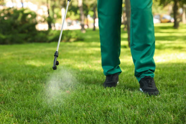 Best Wildlife Control Services  in Walnut Hill, TN