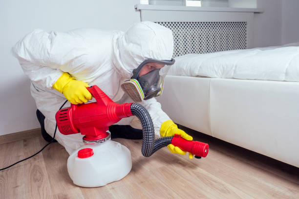 Best Best Pest Control Companies  in Walnut Hill, TN