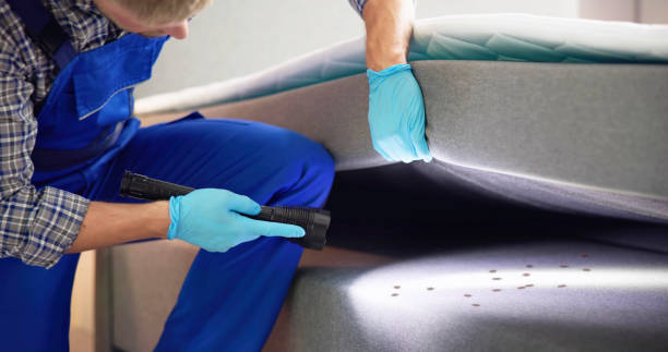 Best Emergency Pest Control  in Walnut Hill, TN