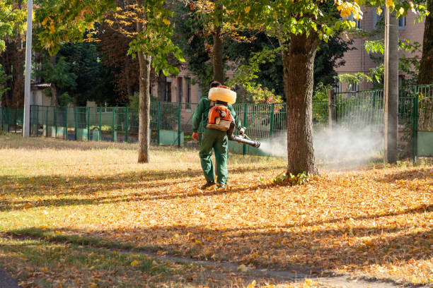 Best Mosquito Control Services  in Walnut Hill, TN