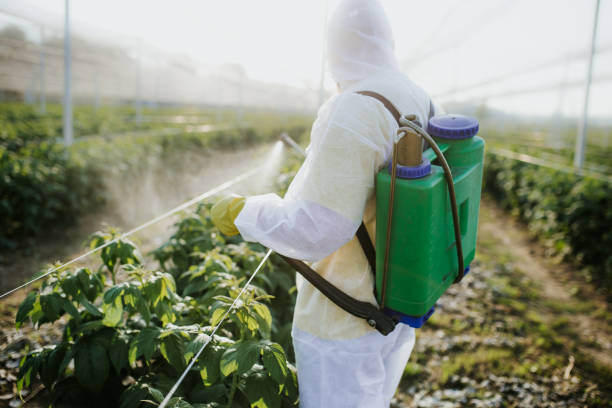 Best Pest Prevention Services  in Walnut Hill, TN